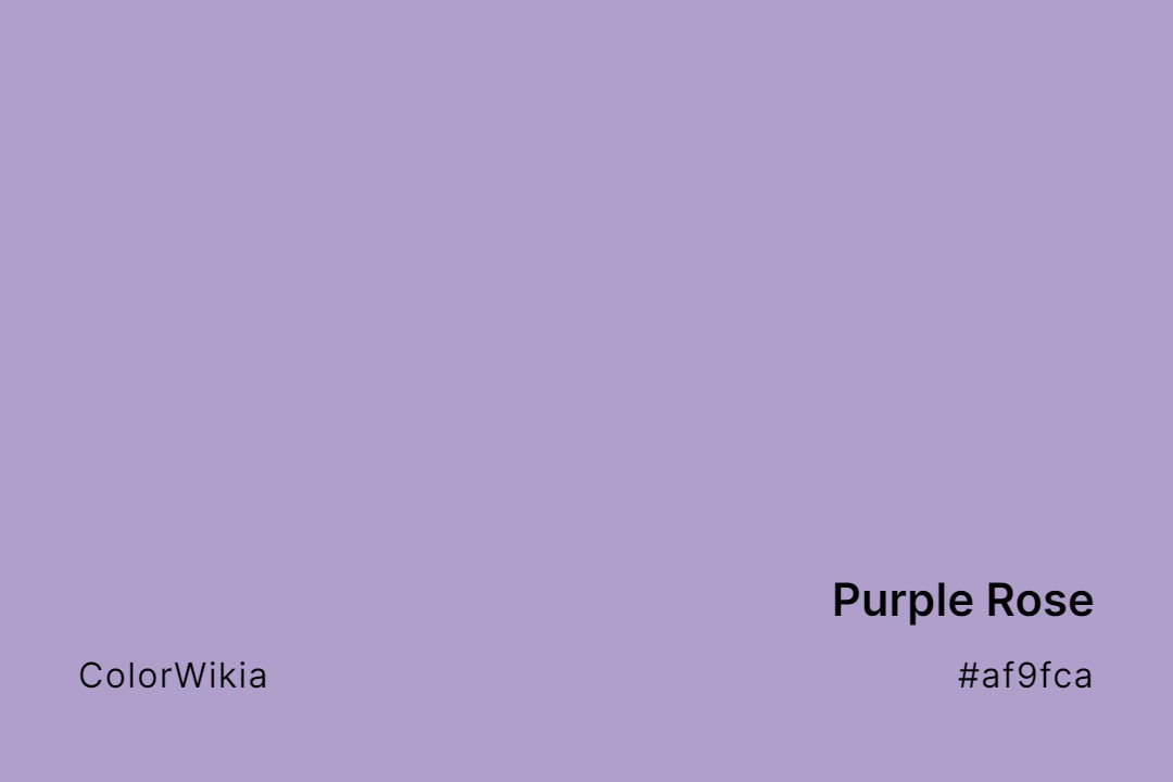 Purple Rose Color – #af9fca: Codes and Complete Breakdown