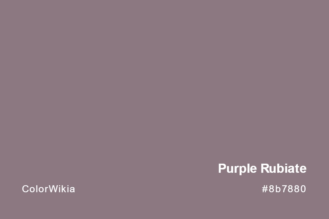 Purple Rubiate Color – #8b7880: Codes and Complete Breakdown