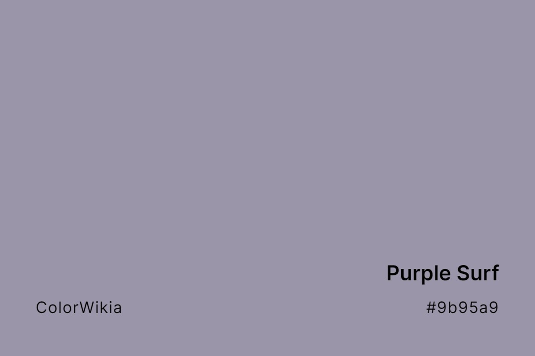 Purple Surf Color – #9b95a9: Codes and Complete Breakdown