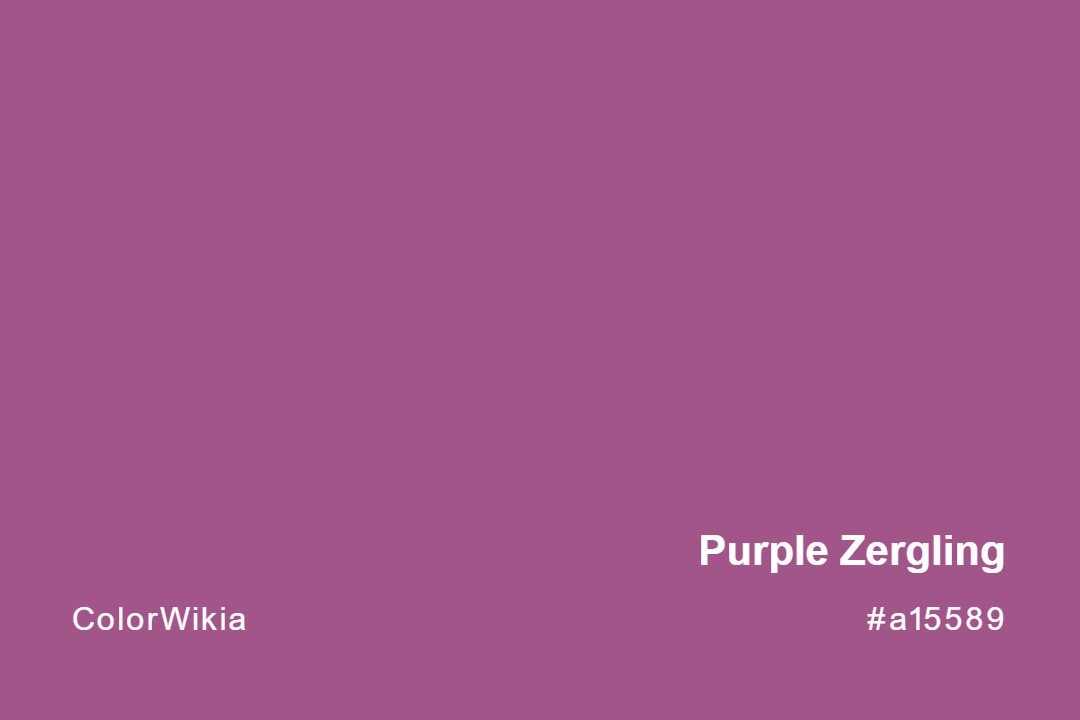 Purple Zergling Color – #a15589: Codes and Complete Breakdown