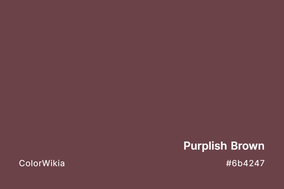 Purplish Brown Color – #6b4247: Codes and Complete Breakdown