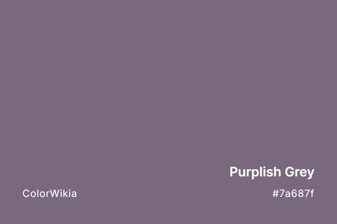 Purplish Grey Color – #7a687f: Codes and Complete Breakdown