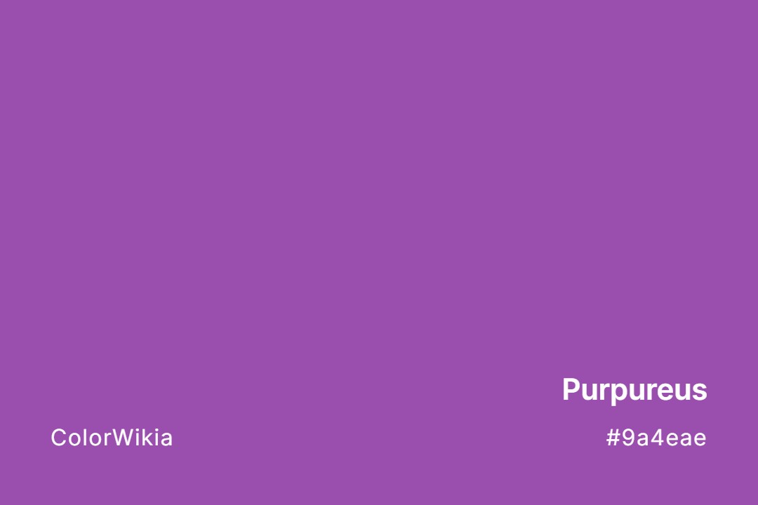 Purpureus Color – #9a4eae: Codes and Complete Breakdown