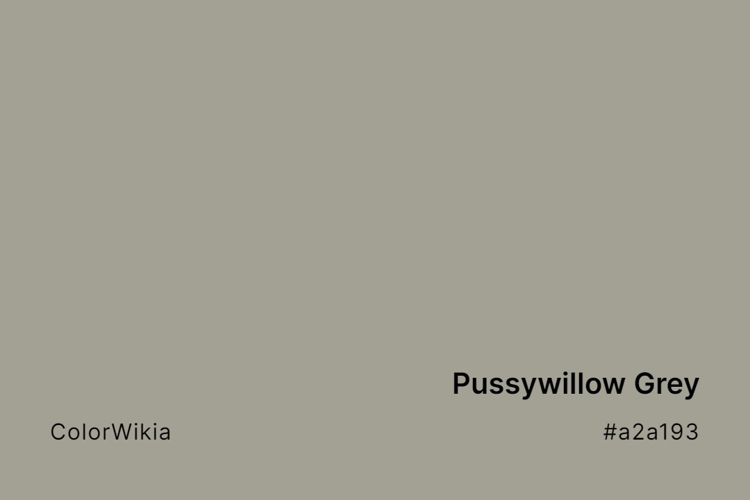 Pussywillow Grey Color – #a2a193: Codes and Complete Breakdown