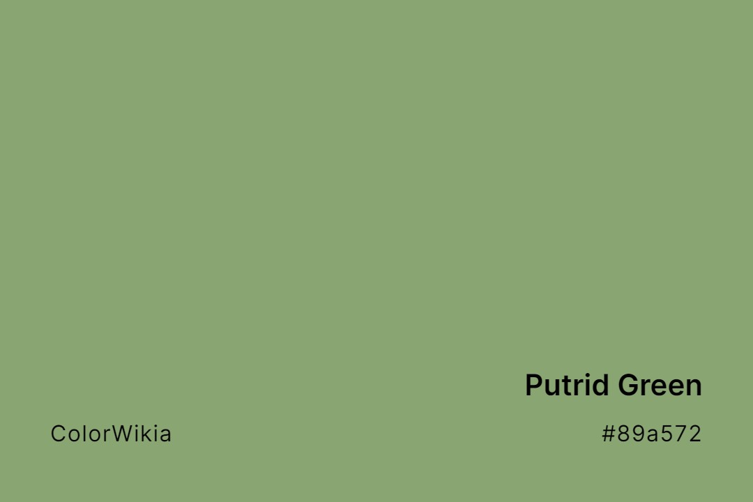 Putrid Green Color – #89a572: Codes and Complete Breakdown