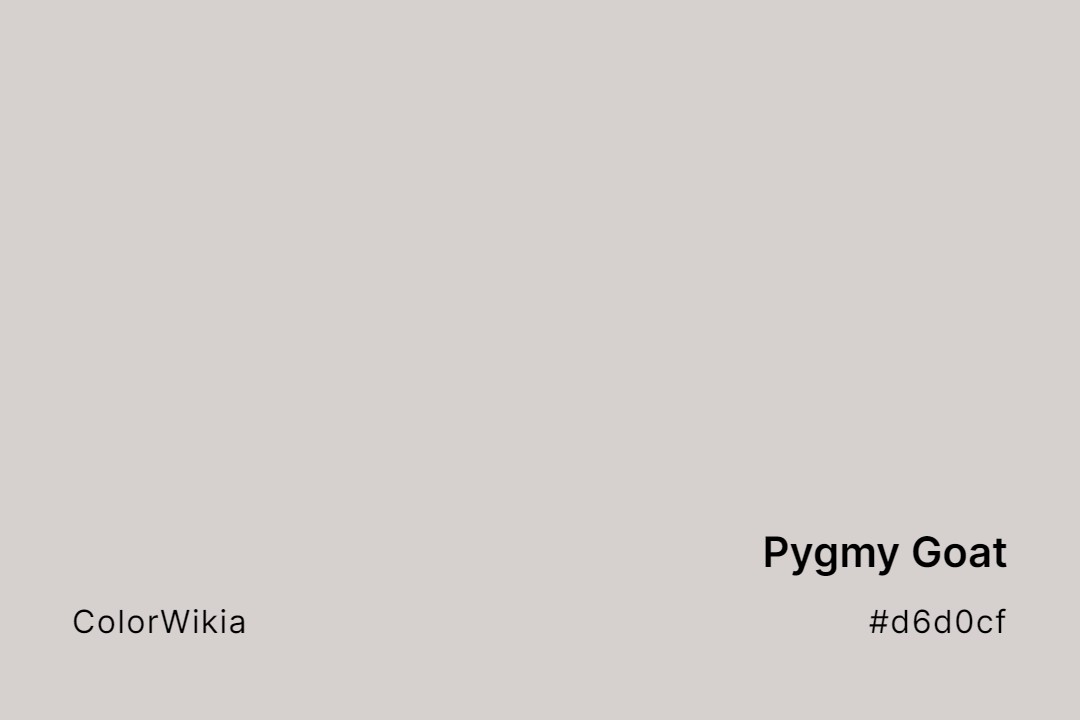 Pygmy Goat Color – #d6d0cf: Codes and Complete Breakdown