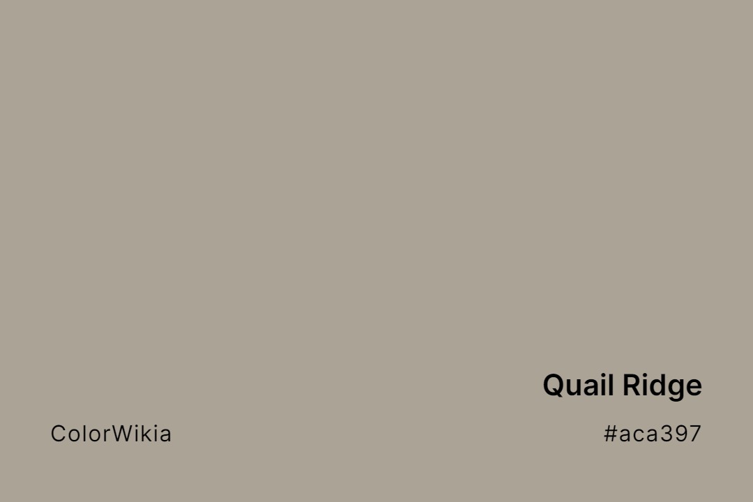 Quail Ridge Color – #aca397: Codes and Complete Breakdown