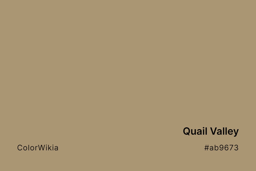 Quail Valley Color – #ab9673: Codes and Complete Breakdown