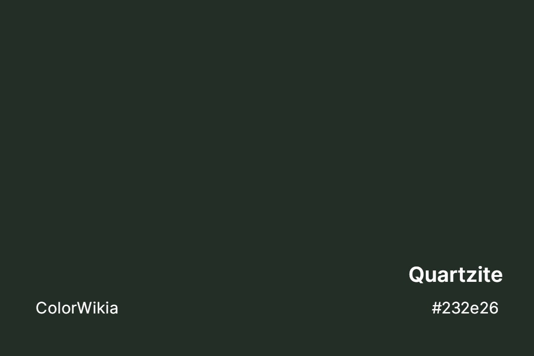 Quartzite Color – #232e26: Codes and Complete Breakdown