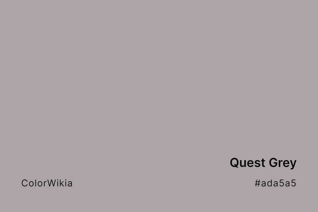 quest grey color ada5a5
