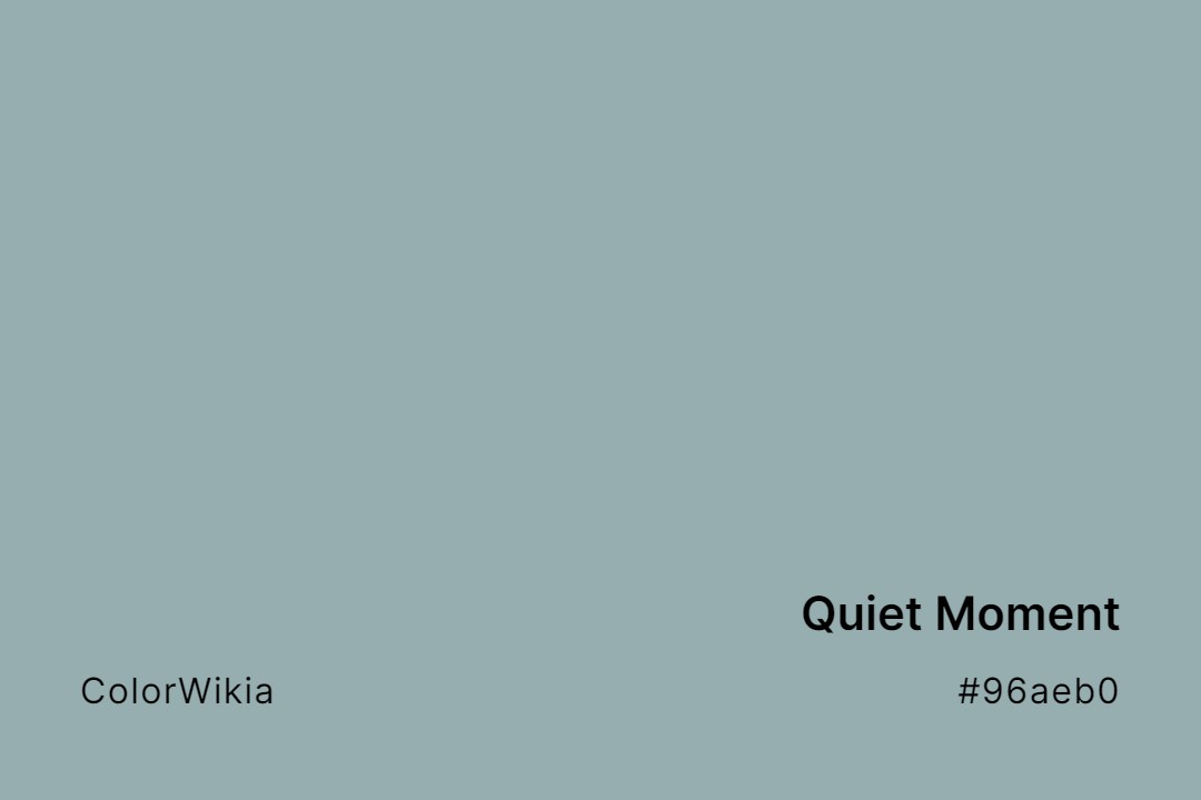 quiet moment color 96aeb0