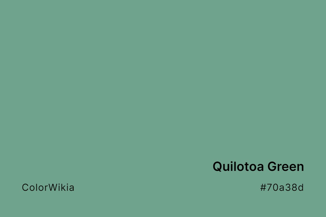 Quilotoa Green Color – #70a38d: Codes and Complete Breakdown