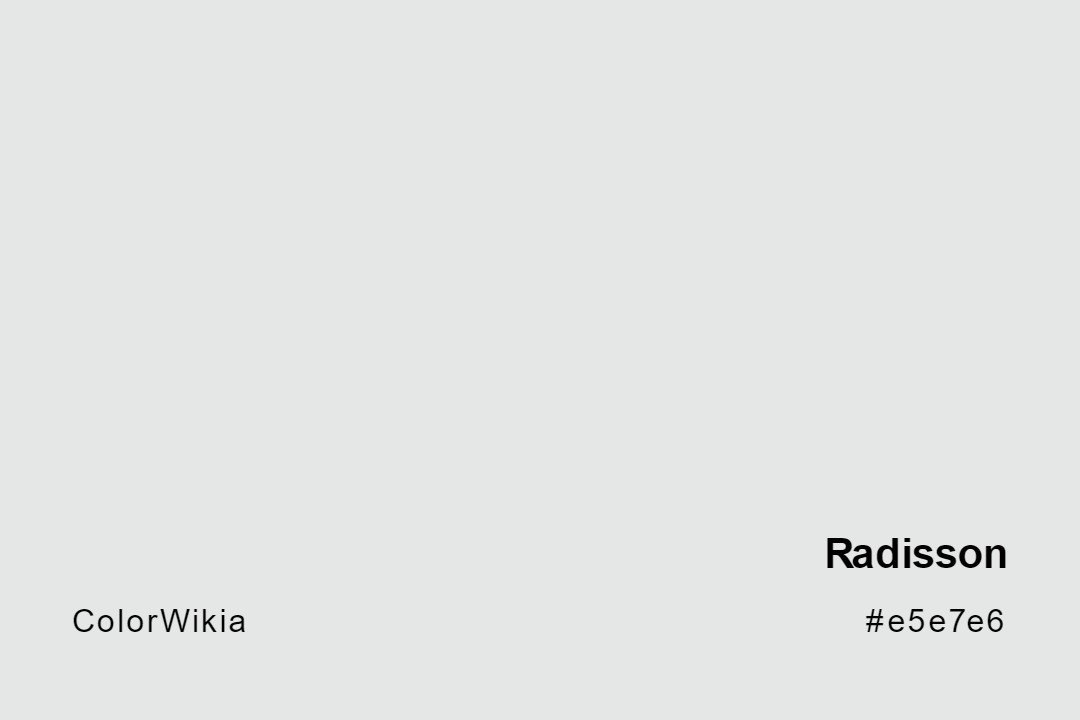 Radisson Color – #e5e7e6: Codes and Complete Breakdown
