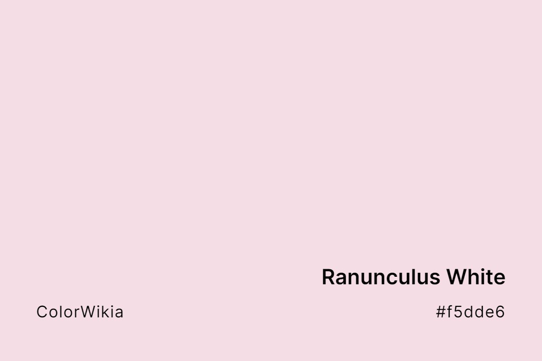 Ranunculus White Color – #f5dde6: Codes and Complete Breakdown