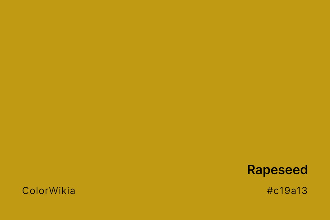 Rapeseed Color – #c19a13: Codes and Complete Breakdown