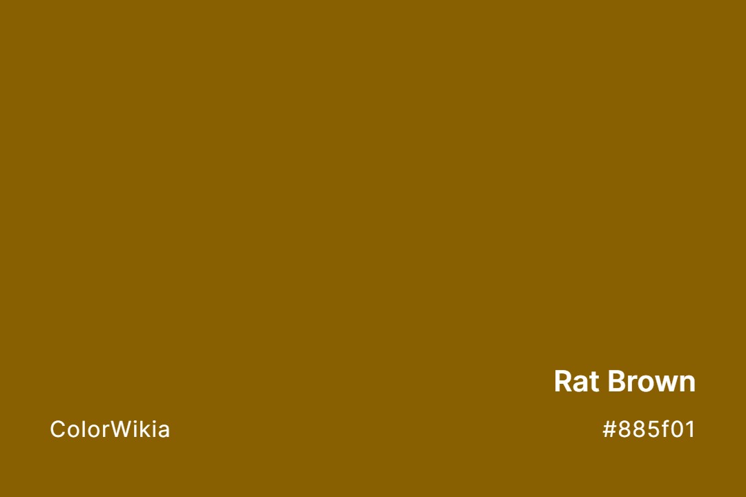 Rat Brown Color – #885f01: Codes and Complete Breakdown