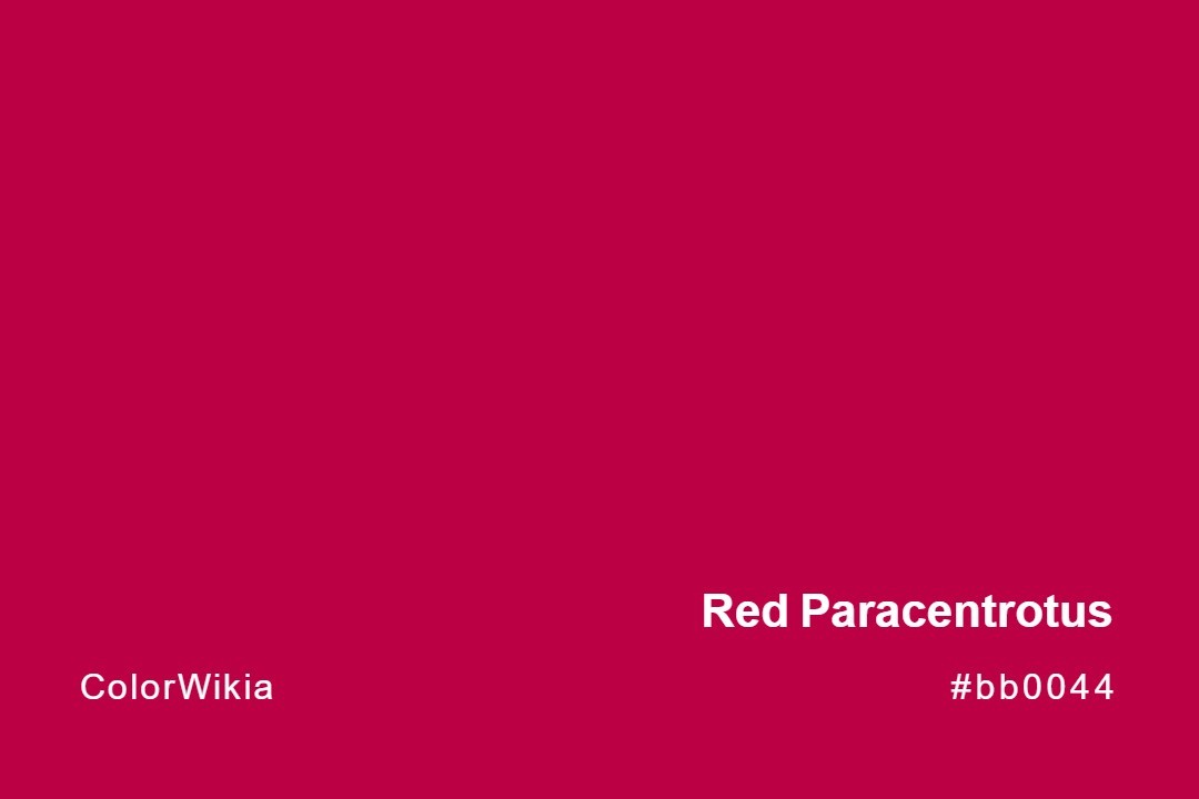 Red Paracentrotus Color – #bb0044: Codes and Complete Breakdown