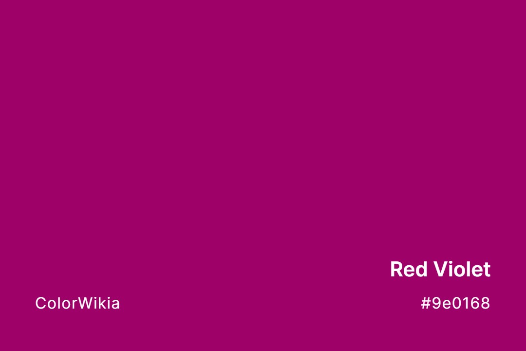Red Violet Color – #9e0168: Codes and Complete Breakdown