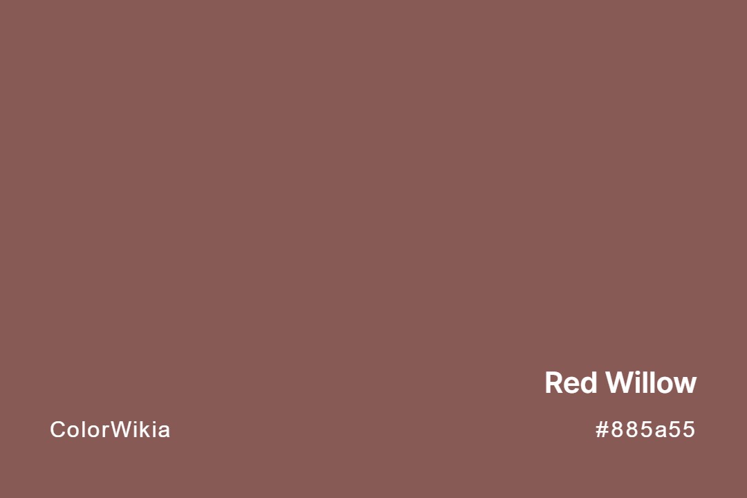Red Willow Color – #885a55: Codes and Complete Breakdown