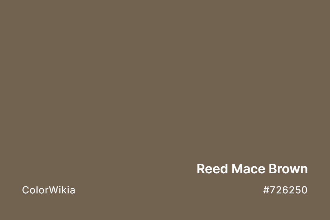 reed mace brown color 726250