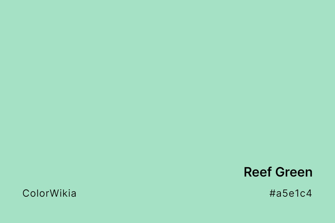 reef green color a5e1c4