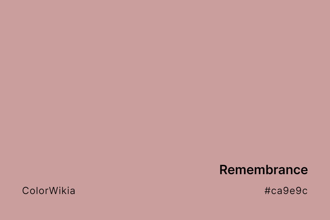 Remembrance Color – #ca9e9c: Codes and Complete Breakdown