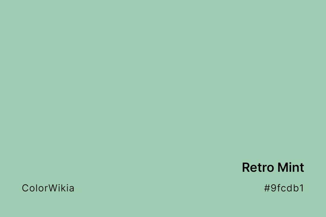 Retro Mint Color – #9fcdb1: Codes and Complete Breakdown
