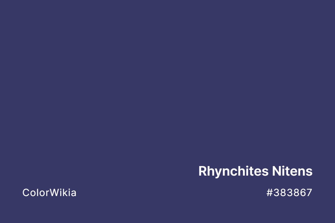 Rhynchites Nitens Color – #383867: Codes and Complete Breakdown