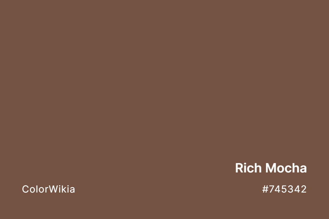 rich mocha color 745342