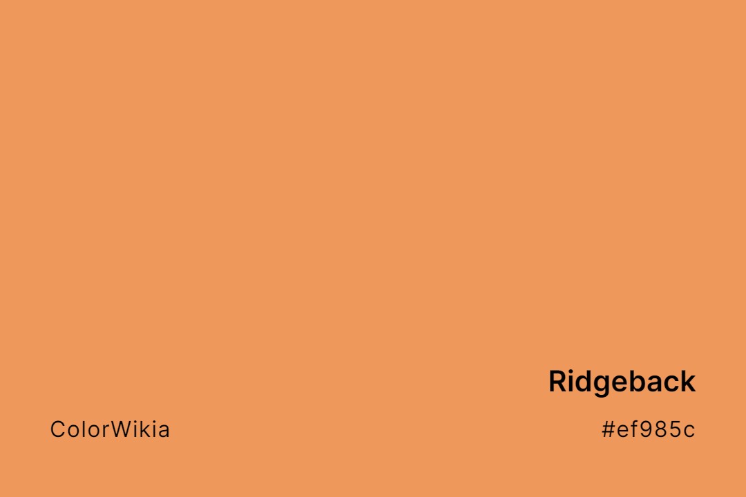Ridgeback Color – #ef985c: Codes and Complete Breakdown