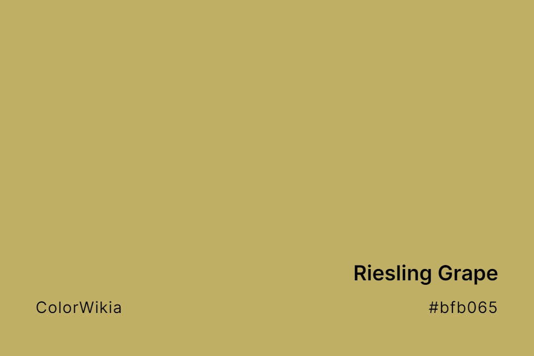Riesling Grape Color – #bfb065: Codes and Complete Breakdown