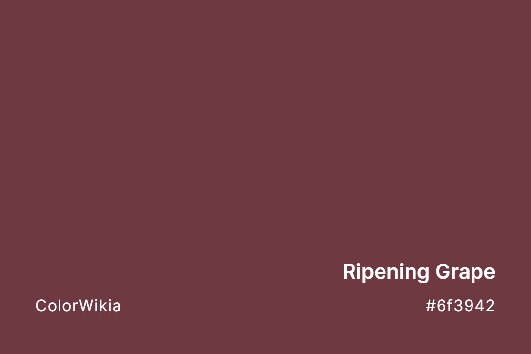 Ripening Grape Color – #6f3942: Codes and Complete Breakdown