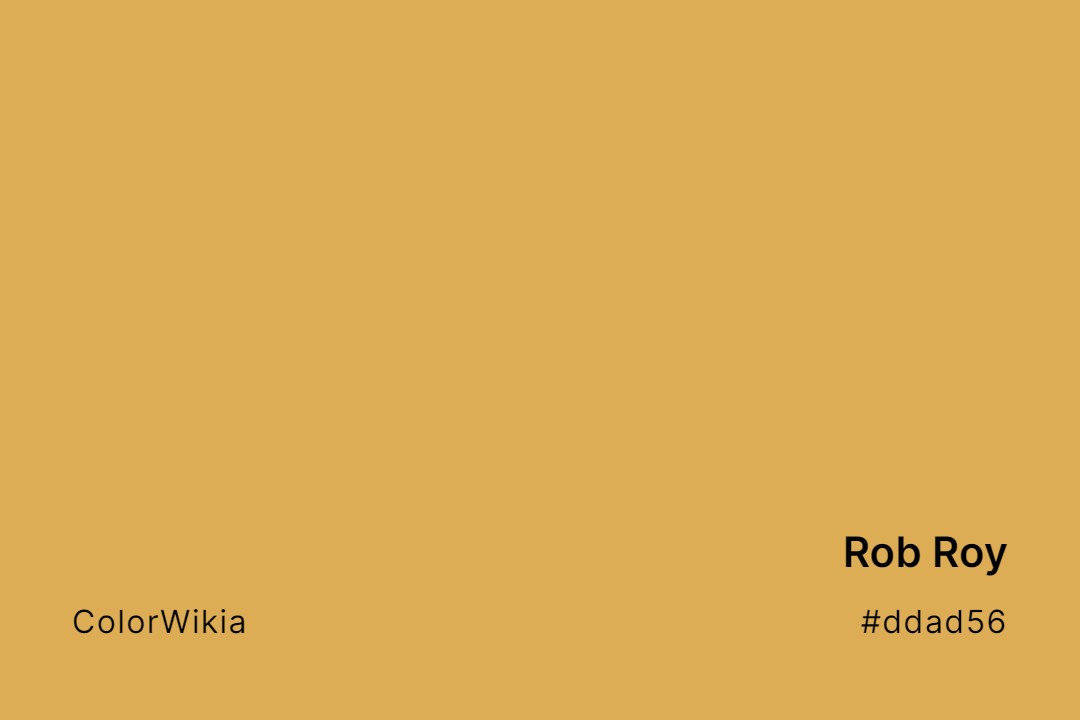 Rob Roy Color – #ddad56: Codes and Complete Breakdown