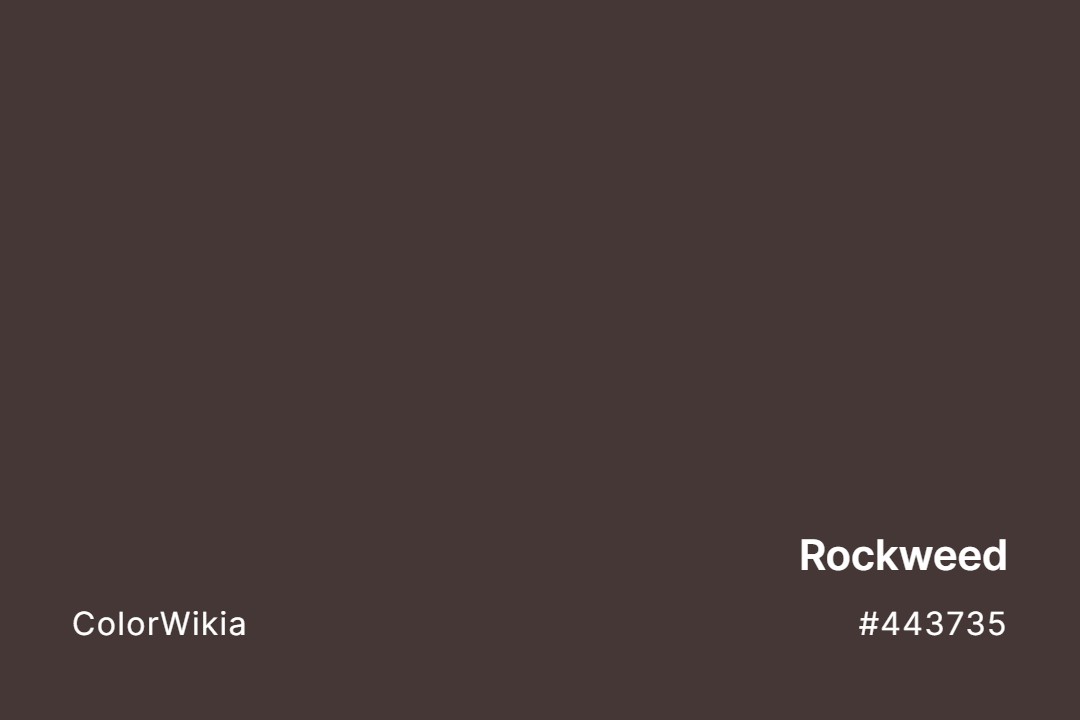 Rockweed Color – #443735: Codes and Complete Breakdown