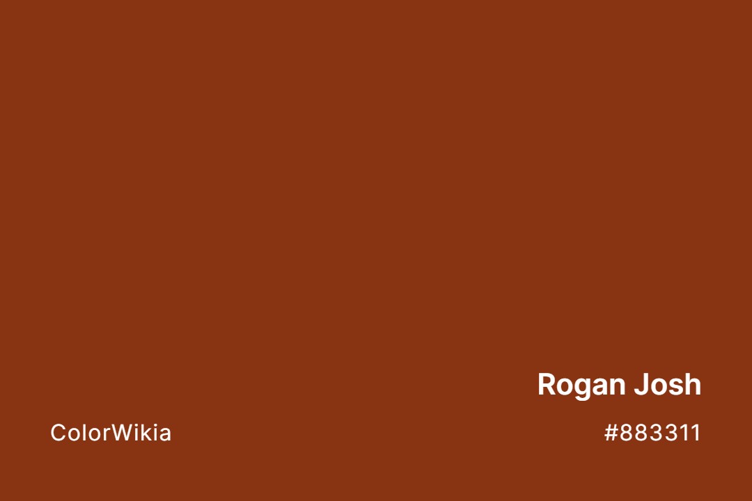 Rogan Josh Color – #883311: Codes and Complete Breakdown