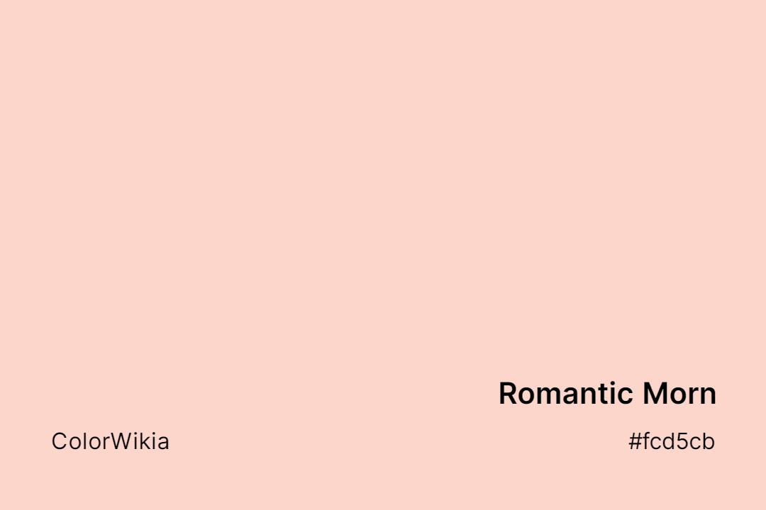 romantic morn color fcd5cb