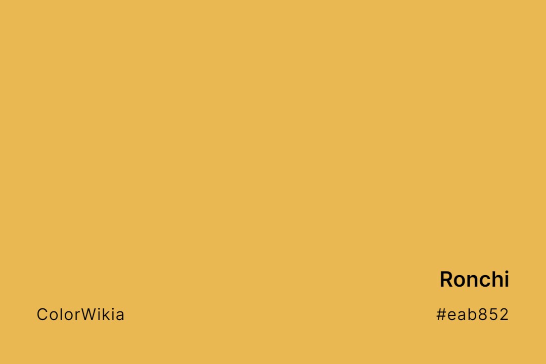 Ronchi Color – #eab852: Codes and Complete Breakdown