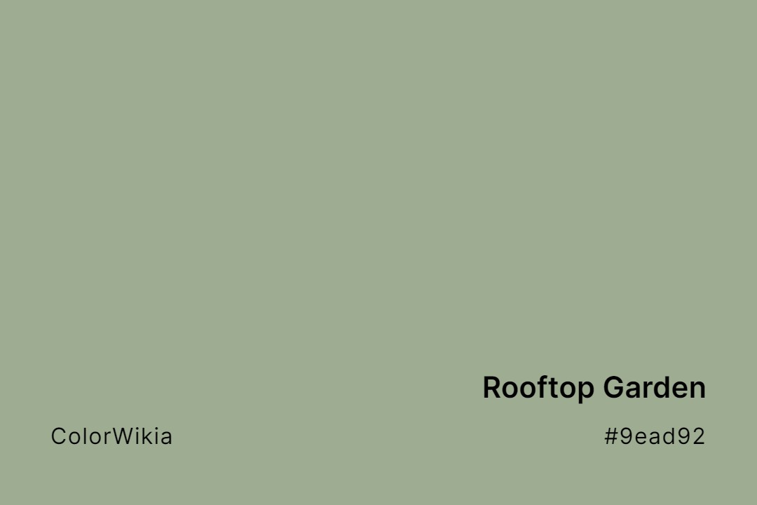Rooftop Garden Color – #9ead92: Codes and Complete Breakdown