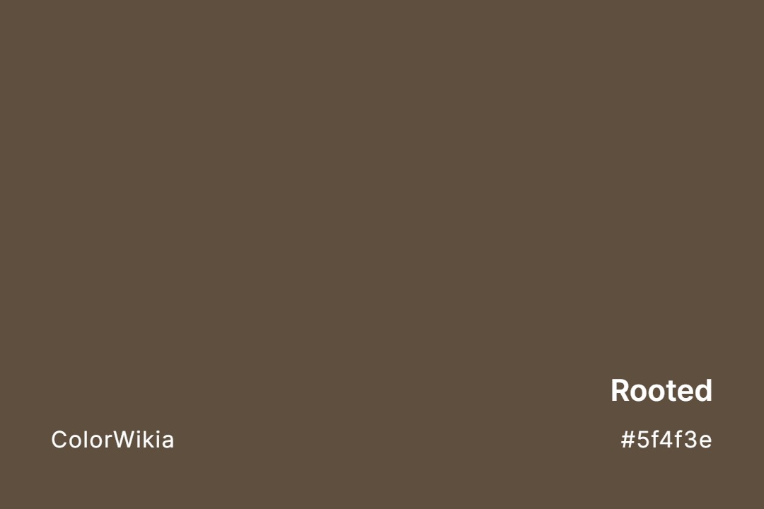 Rooted Color – #5f4f3e: Codes and Complete Breakdown