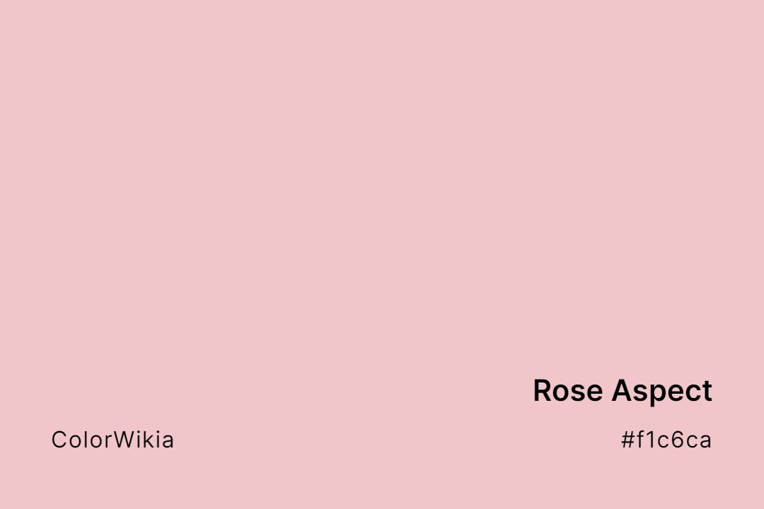 Rose Aspect Color – #f1c6ca: Codes and Complete Breakdown