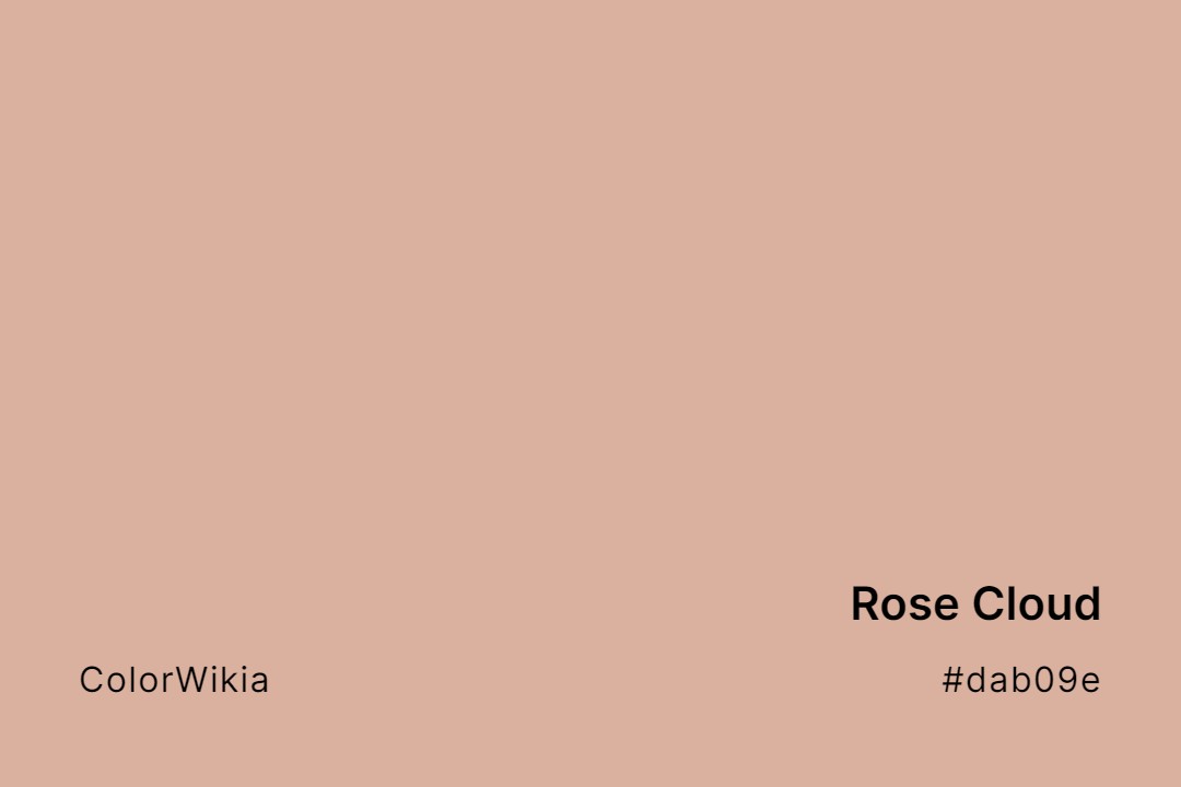 Rose Cloud Color – #dab09e: Codes and Complete Breakdown