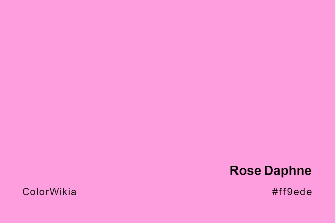 Rose Daphne Color – #ff9ede: Codes and Complete Breakdown