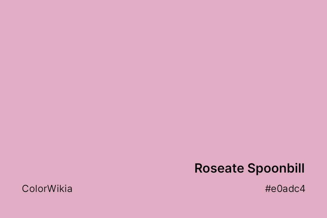 Roseate Spoonbill Color – #e0adc4: Codes and Complete Breakdown