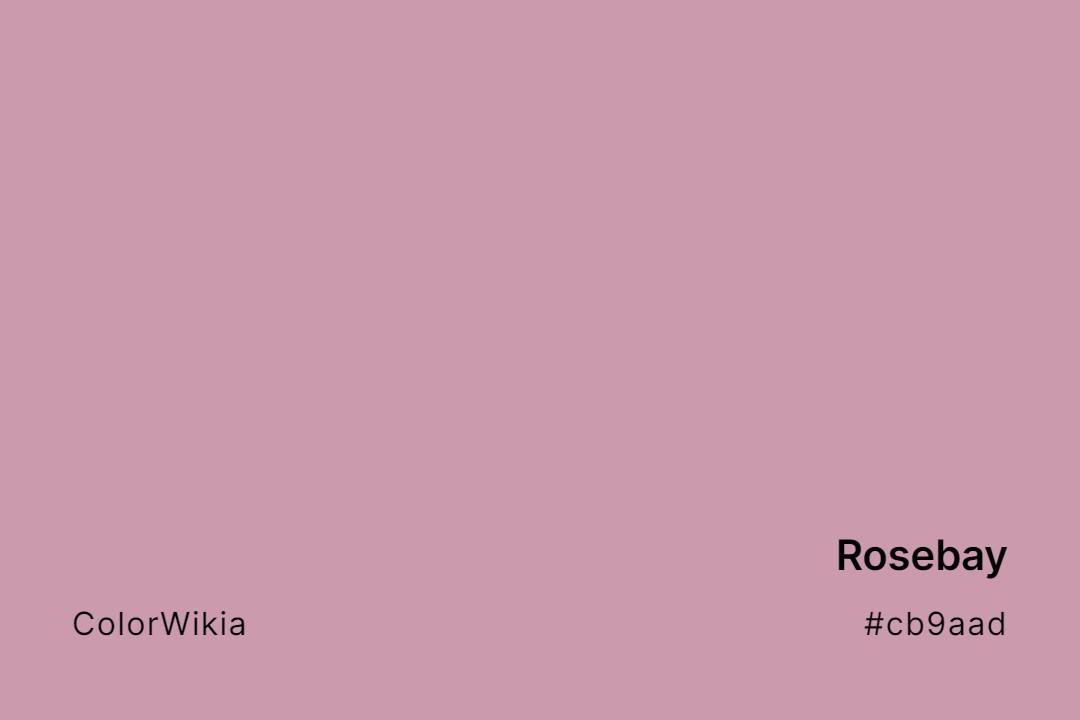 Rosebay Color – #cb9aad: Codes and Complete Breakdown