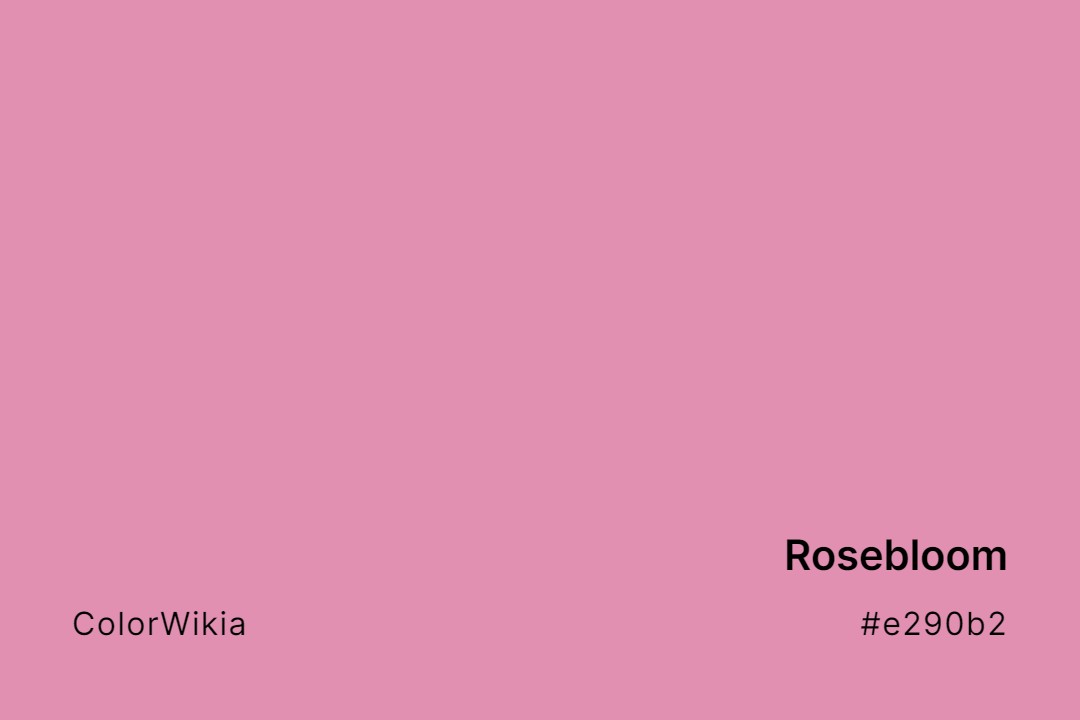 Rosebloom Color – #e290b2: Codes and Complete Breakdown