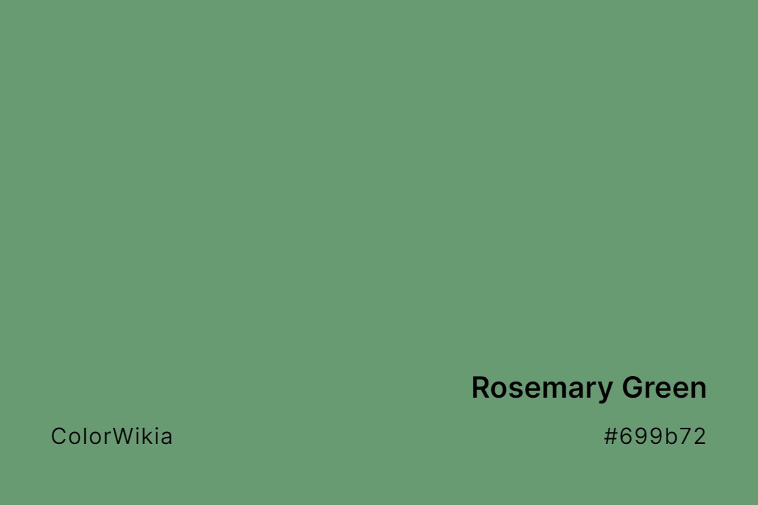 Rosemary Green Color – #699b72: Codes and Complete Breakdown