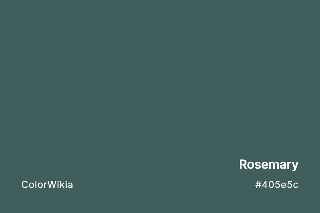 Rosemary Color – #405e5c: Codes and Complete Breakdown