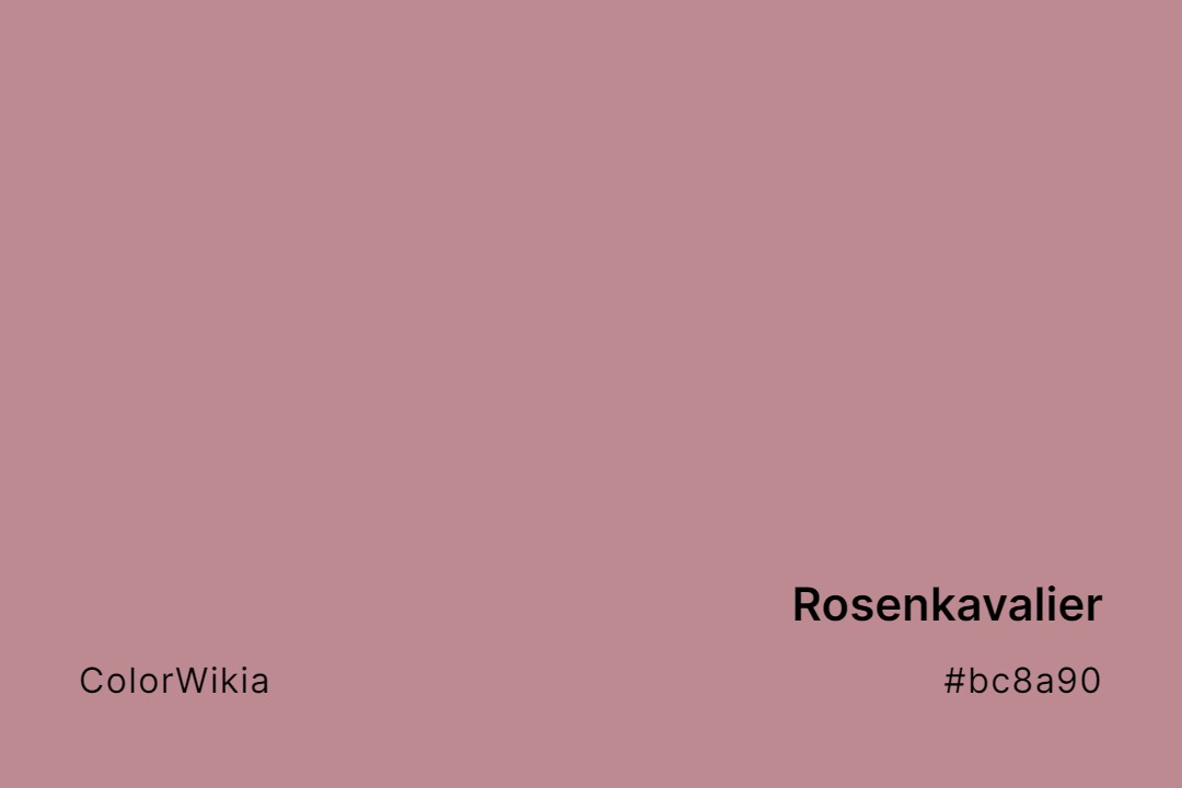 Rosenkavalier Color – #bc8a90: Codes and Complete Breakdown