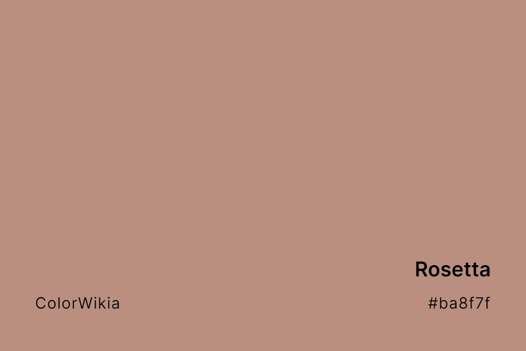 Rosetta Color – #ba8f7f: Codes and Complete Breakdown