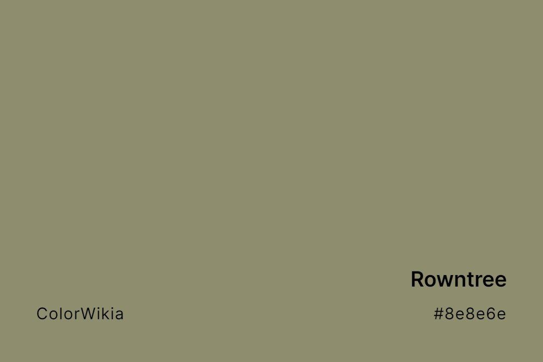 Rowntree Color – #8e8e6e: Codes and Complete Breakdown